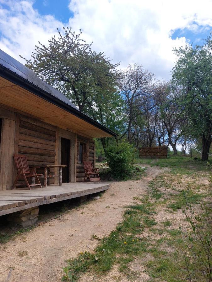 Agroturystyka Lipowewzgorze- Jas&Malgosia Tereszpol Exteriör bild